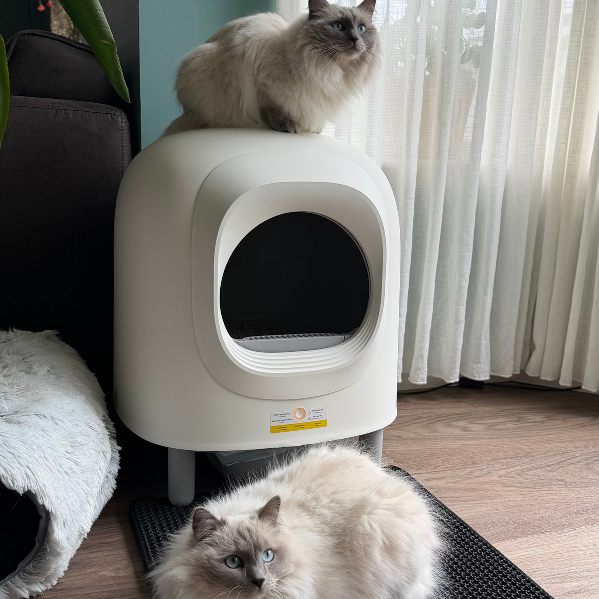 PRE ORDER - Petree Cube v2 - Zelfreinigende kattenbak